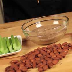GP Blendtec Fibel | Basiswissen & Rezepte