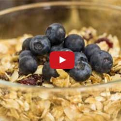 GP Blendtec Fibel | Basiswissen & Rezepte