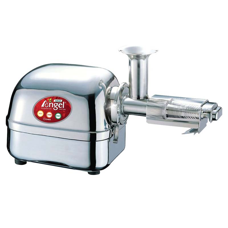 Angel Juicer 5500 aus Edelstahl