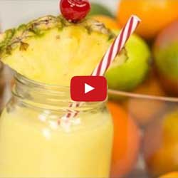 GP Blendtec Fibel | Basiswissen & Rezepte