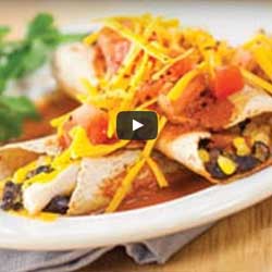 GP Blendtec Fibel | Basiswissen & Rezepte