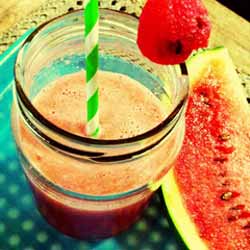 GP Blendtec Fibel | Basiswissen & Rezepte