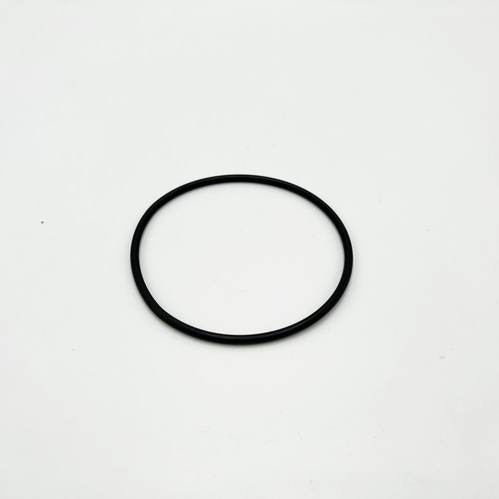Gehäusedichtung für Carbonit Untertischfilter (Vario, Duo etc.)
