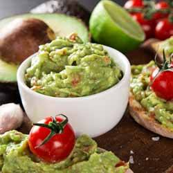 GP Blendtec Fibel | Basiswissen & Rezepte