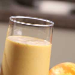 GP Blendtec Fibel | Basiswissen & Rezepte