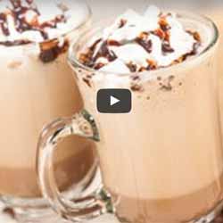 GP Blendtec Fibel | Basiswissen & Rezepte