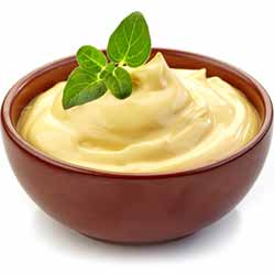 GP Blendtec Fibel | Basiswissen & Rezepte