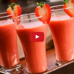GP Blendtec Fibel | Basiswissen & Rezepte