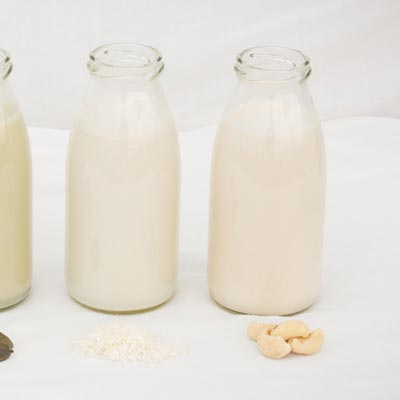 GP Blendtec Fibel | Basiswissen & Rezepte