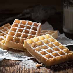 GP Blendtec Fibel | Basiswissen & Rezepte