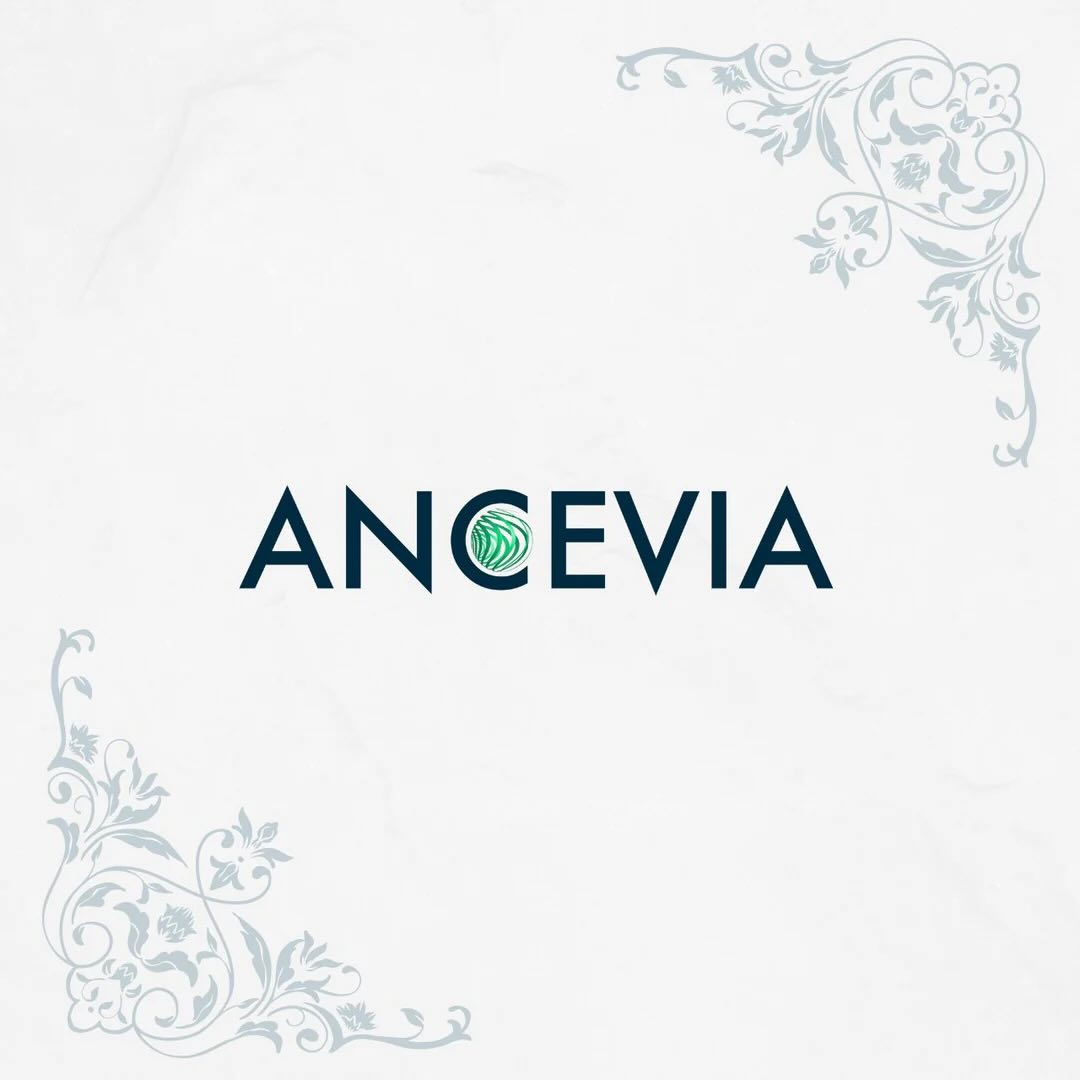 ANCEVIA Chlordioxid CDL | 2 Komponenten (A-250ml + B-Tablette | Desinfektion Wasserfilter