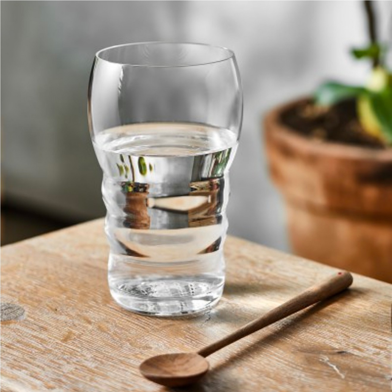 Wasserglas Galileo | Lebensbaum
