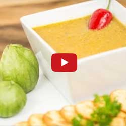GP Blendtec Fibel | Basiswissen & Rezepte