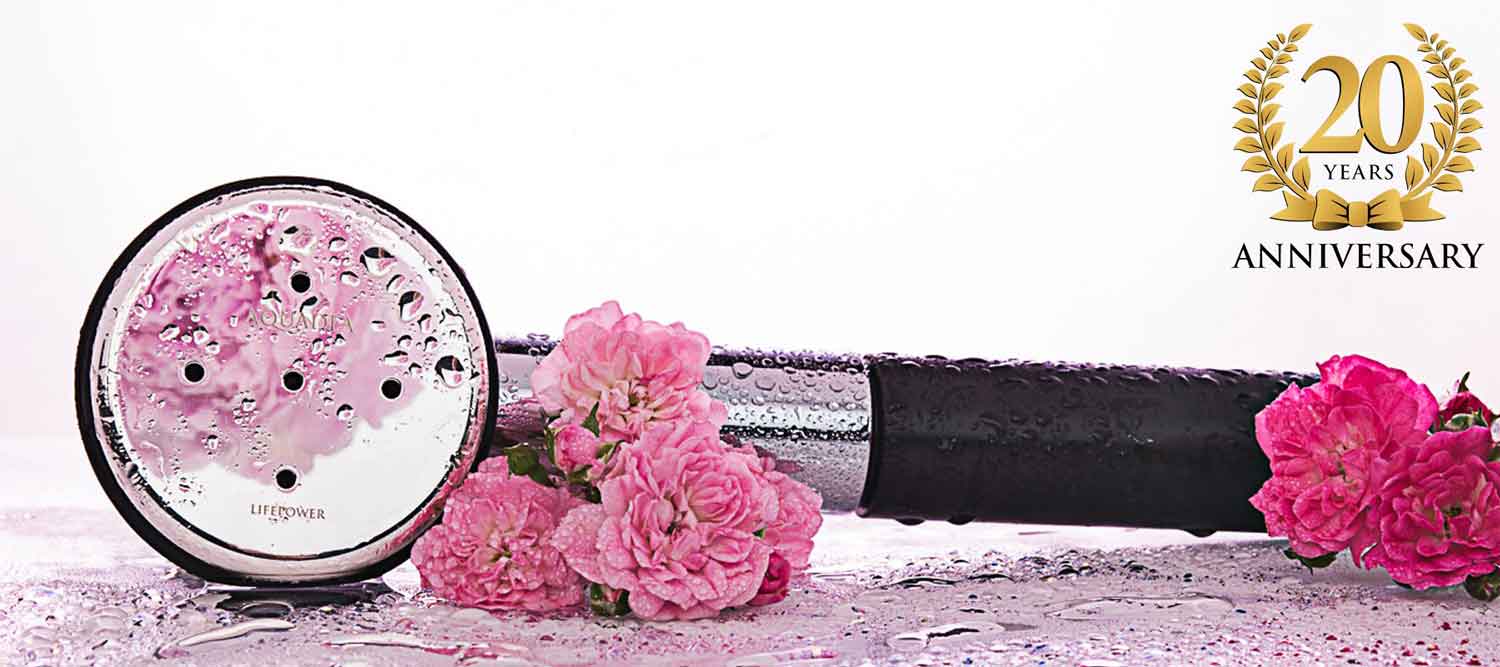 Kristall Wirbeldusche "Kleine Rose 5" | Silber | LifePower
