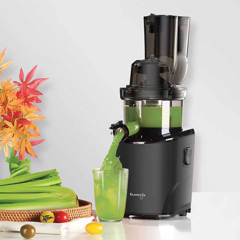 Kuvings REVO830 Whole Slow Juicer (6.Generation)