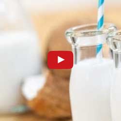 GP Blendtec Fibel | Basiswissen & Rezepte