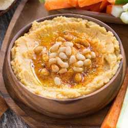 GP Blendtec Fibel | Basiswissen & Rezepte
