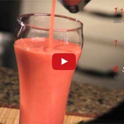GP Blendtec Fibel | Basiswissen & Rezepte