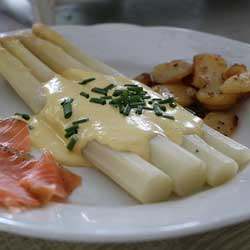 GP Blendtec Fibel | Basiswissen & Rezepte