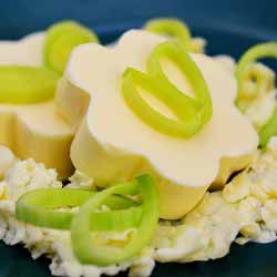 GP Blendtec Fibel | Basiswissen & Rezepte