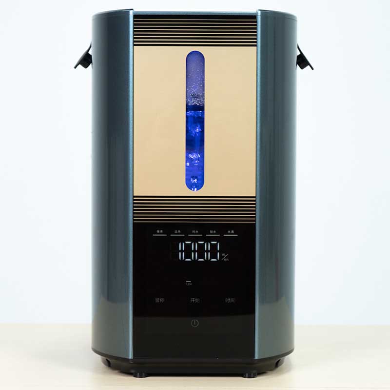 Pulmovolta® Cavallo 1000 | H2 + O2 Generator & Inhalator | Version 2025