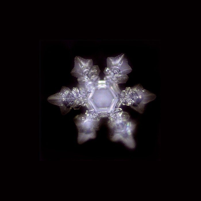 Trinkbecher Mythos | Lebensblume