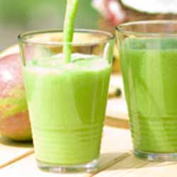 GP Blendtec Fibel | Basiswissen & Rezepte