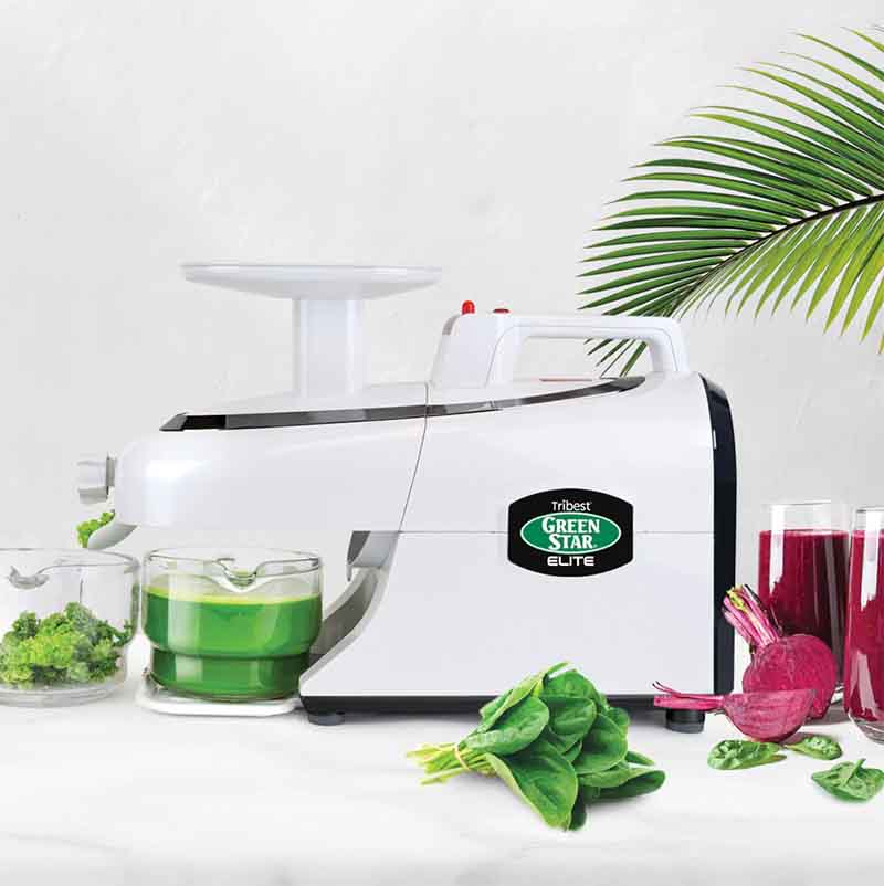 GreenStar Elite Saftpresse (GSE-5000)