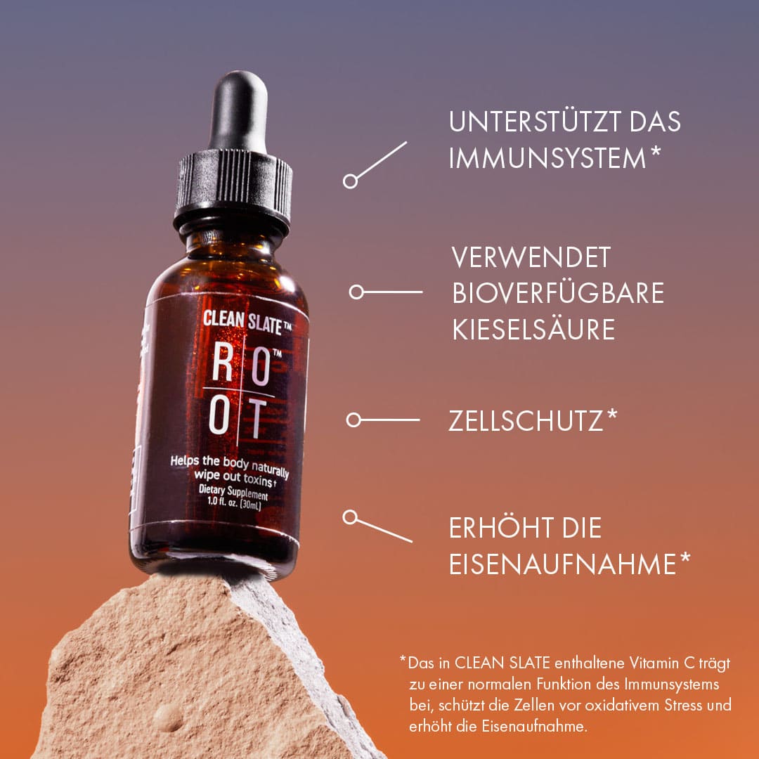 ROOT Clean Slate | sauberer Schiefer