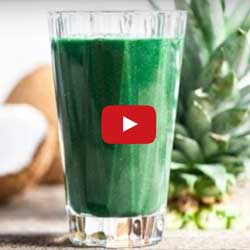 GP Blendtec Fibel | Basiswissen & Rezepte