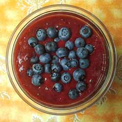 GP Blendtec Fibel | Basiswissen & Rezepte