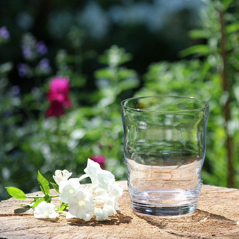 Trinkglas Jasmina | Lebensblume