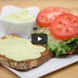 GP Blendtec Fibel | Basiswissen & Rezepte