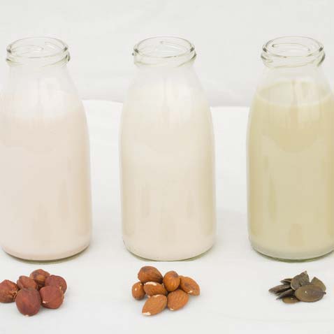 GP Blendtec Fibel | Basiswissen & Rezepte