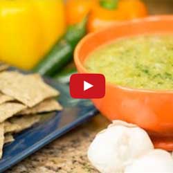 GP Blendtec Fibel | Basiswissen & Rezepte