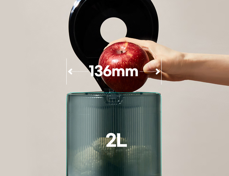Hurom H320N Whole SlowJuicer (Premium Serie | Modell 2025)