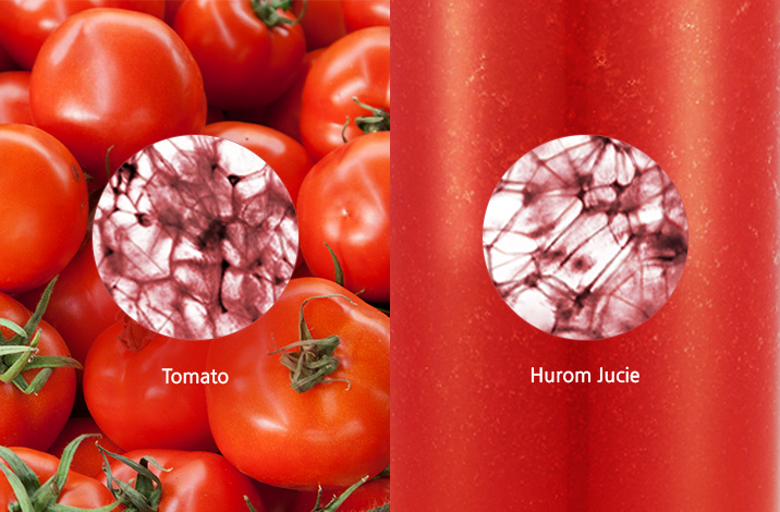 Hurom H310A SlowJuicer (Easy Serie)