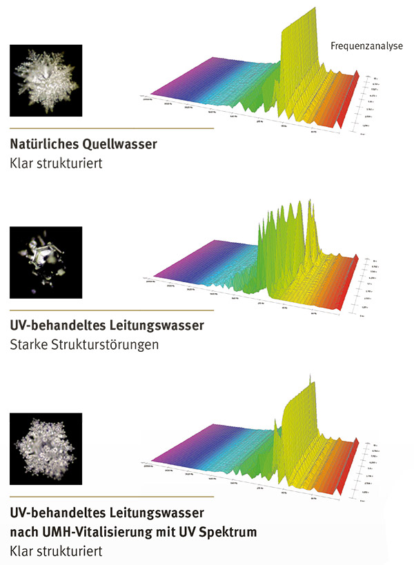 UMH Hexagon Gold inkl. UV | speziell für Filter mit UV-Behandlung